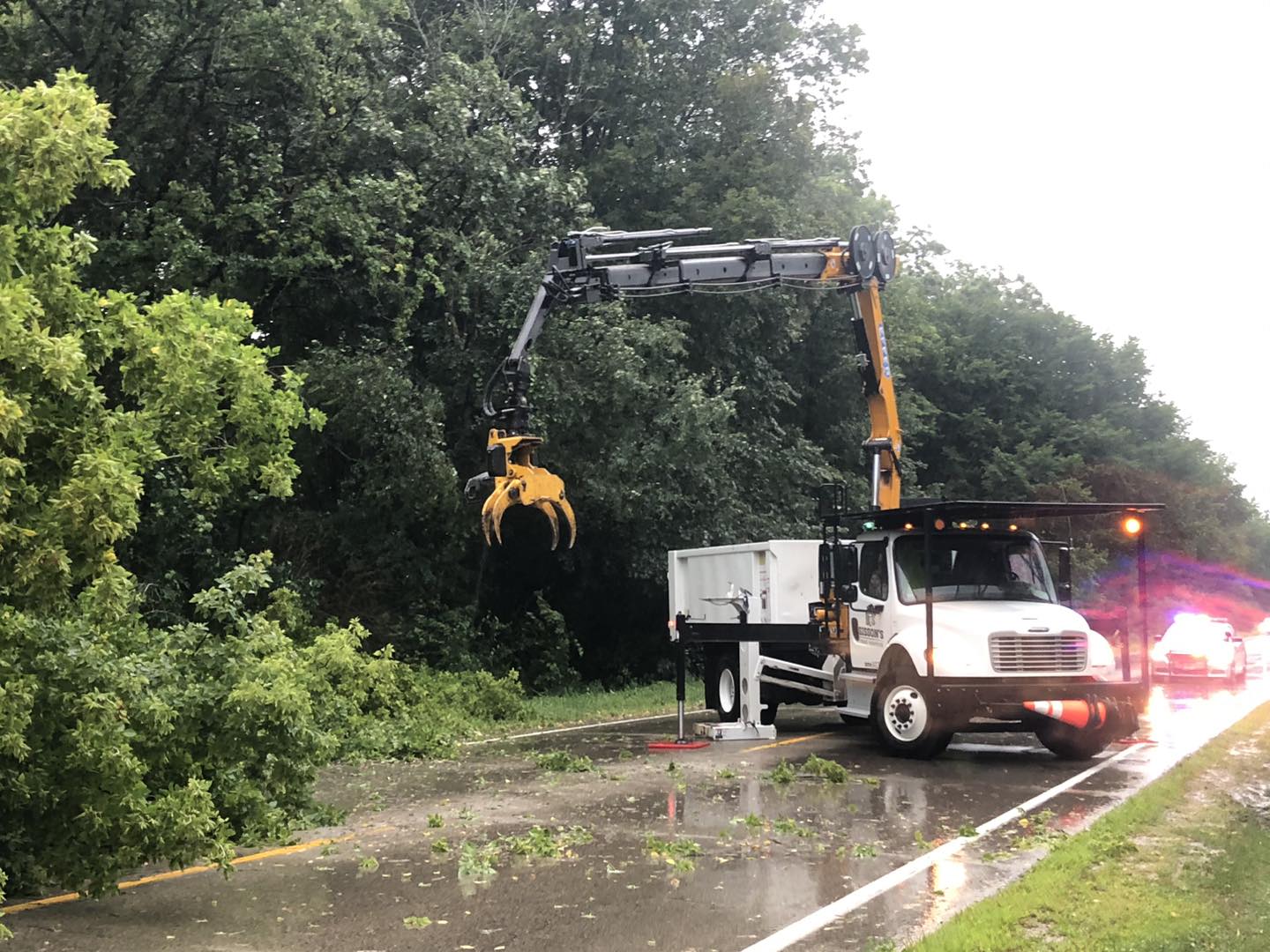 licensed tree removal service near me