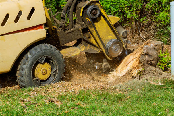 how to sharpen stump grinder teeth