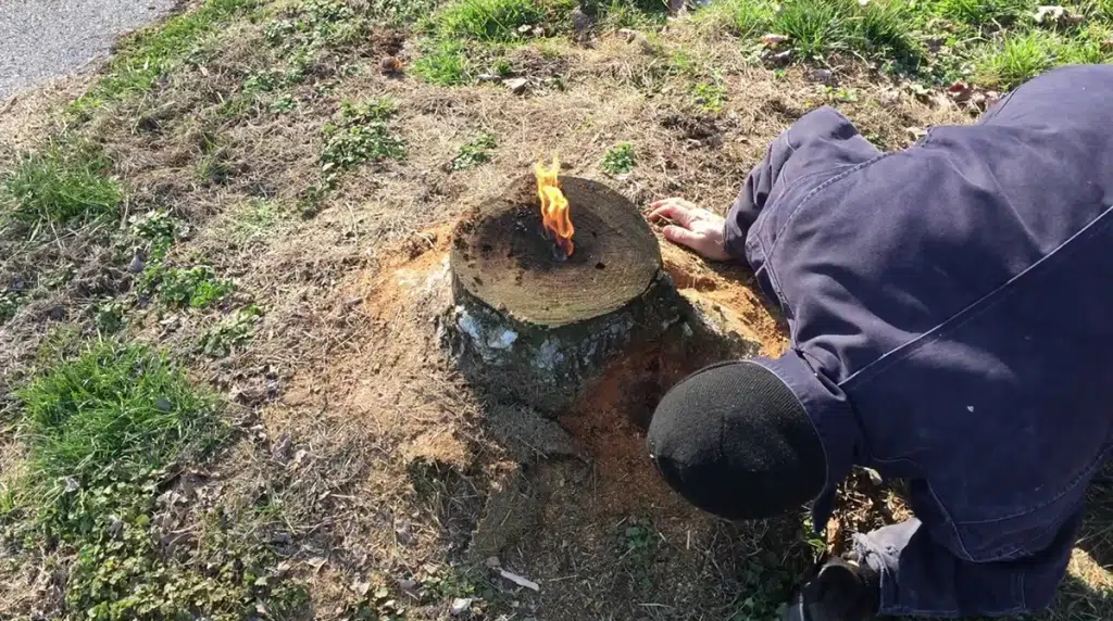 How to remove a stump without using a grinder?